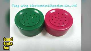 โมดูลเสียงหนังสือสำหรับเด็กของเล่นเพื่อการศึกษา