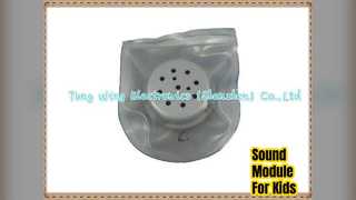 โมดูลเสียงกันน้ำ เสื้อผ้าเด็ก รองเท้า ของเล่น